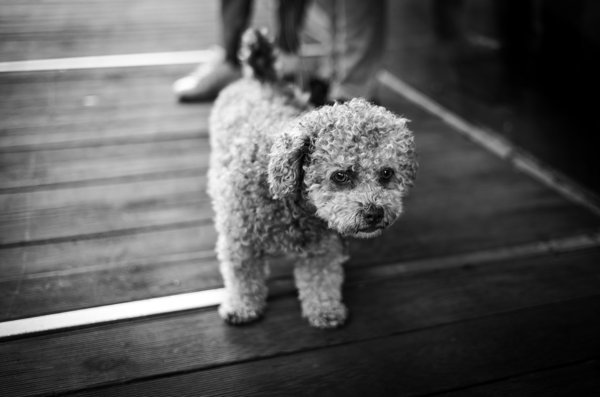 Street Photography in Berlin