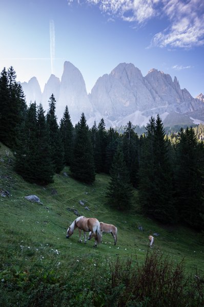dolomites 2026