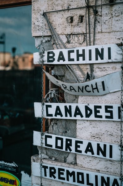 Italy Roadtrip