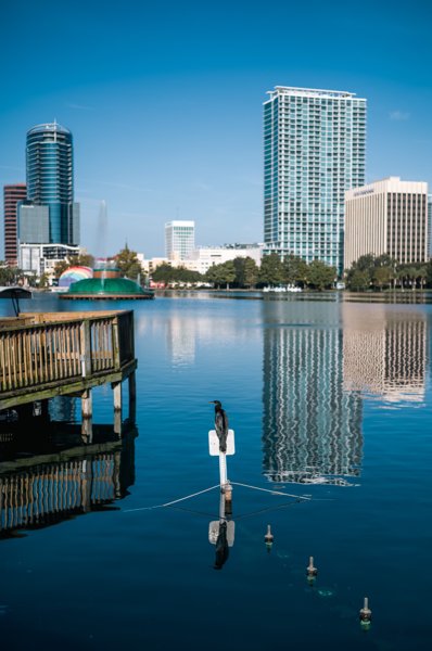Orlando