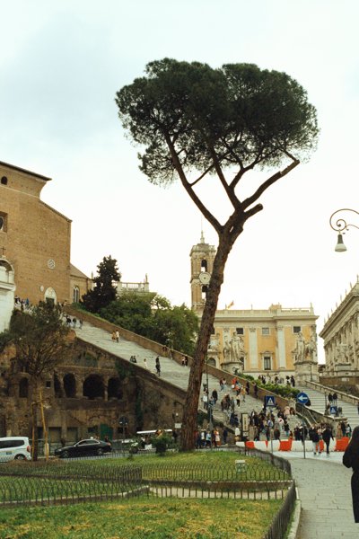 Rome | Analog